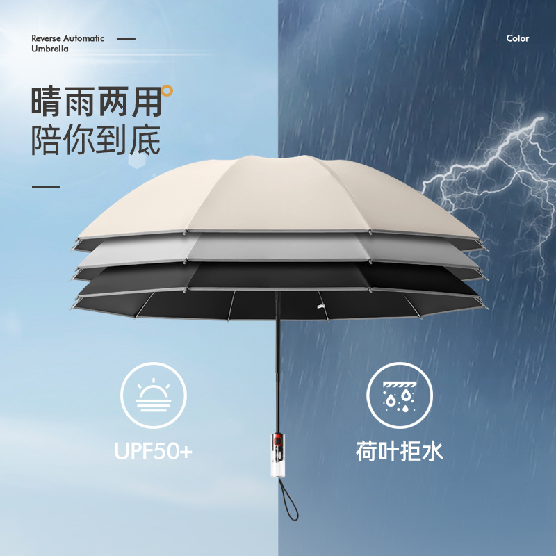 雨伞实物图