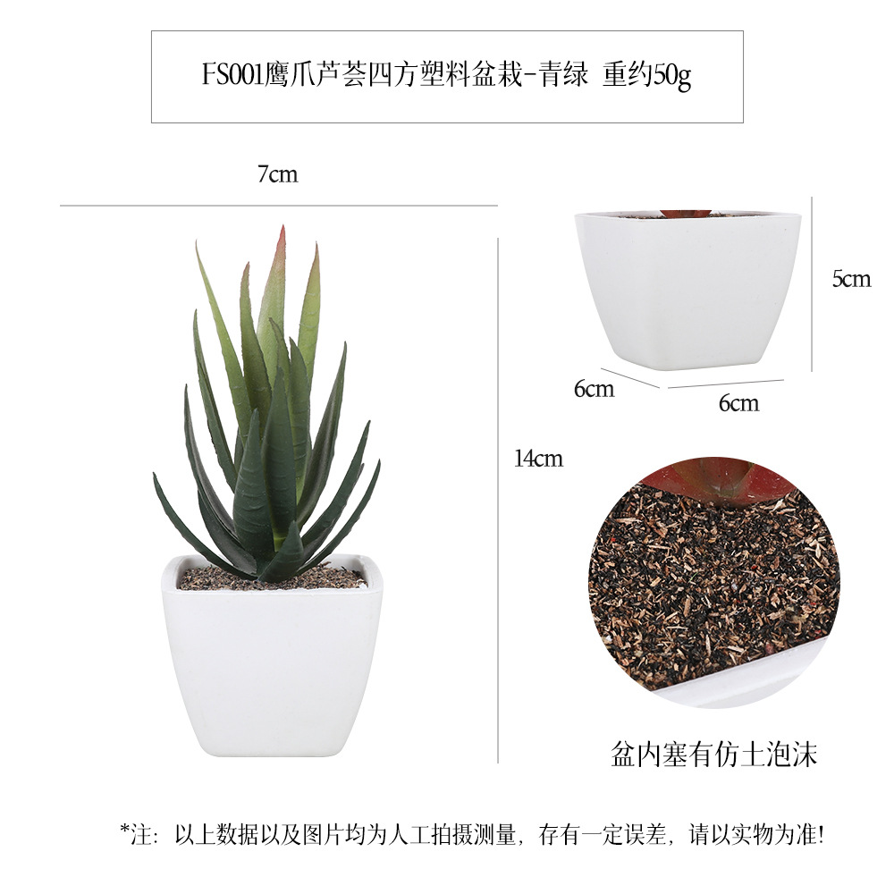 Amazon Succulent square plastic pot 6-piece home decoration plant succulent bonsai set Specification image