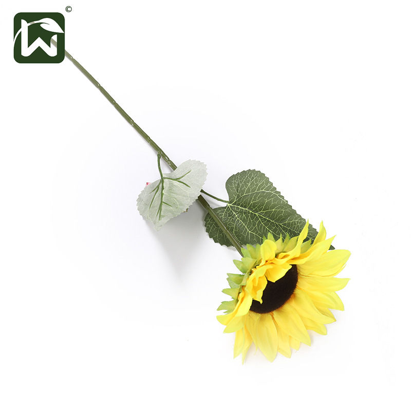 纸灯笼灯笼/拉花/圣诞吸盘灯/生日场景布置/发光装饰串白底实物图
