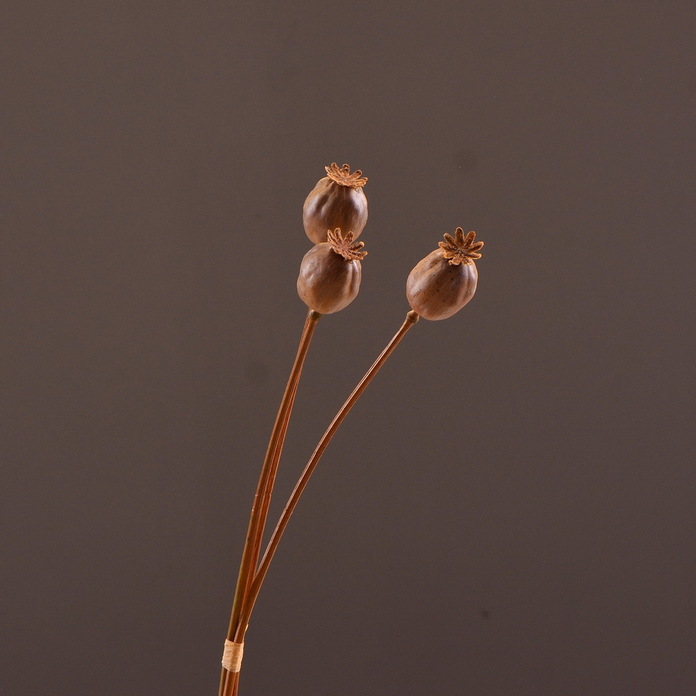 Wholesale of high-end artificial fruits, artificial flowers, photography props, teaching AIDS, dried artificial flowers and flower arrangement materials from the original factory