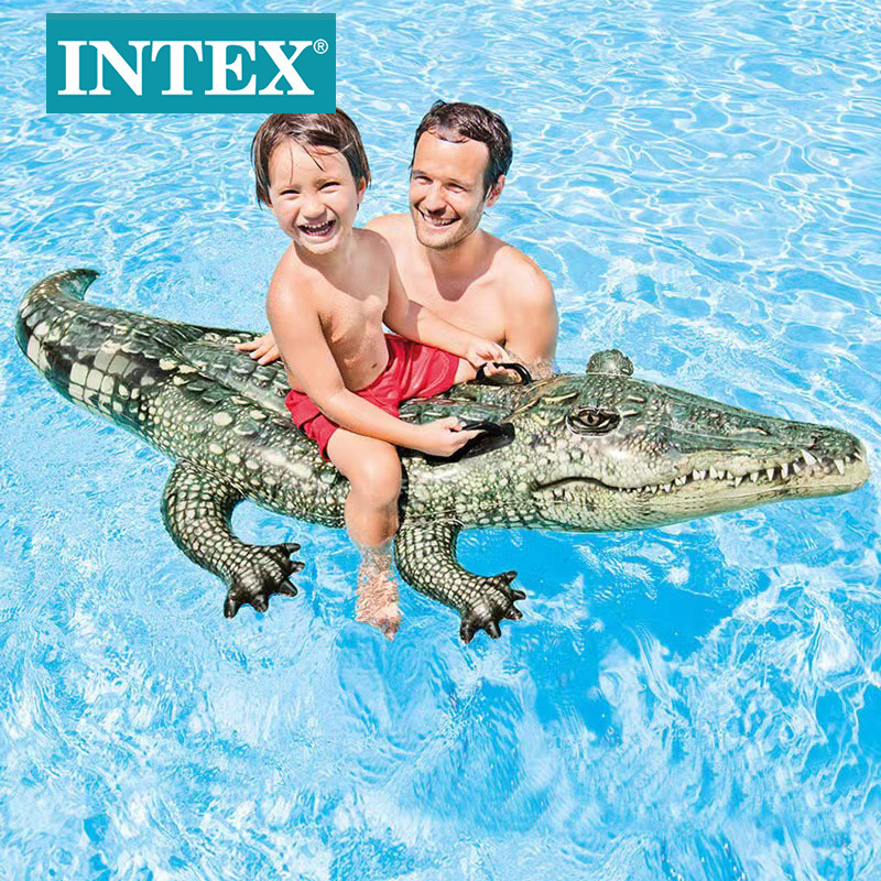 وجاء في الوثيقة INTEX57551 أن التمساح يجلس على ظهر بركة سباحة على طافية PVC على شاطئ حوض السباحة، ويركب على جملة على مقبض مضغوط details Picture