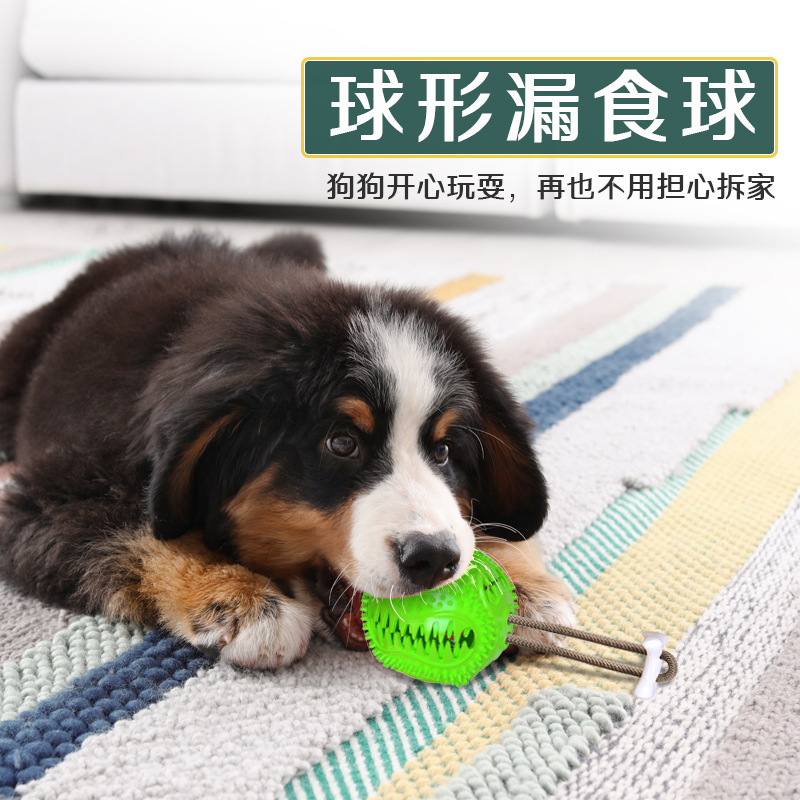 Pet supplies: Amazon's best-selling interactive pet toys with ropes, leaky and biting dog toys, TPR teething and cleaning dog toys