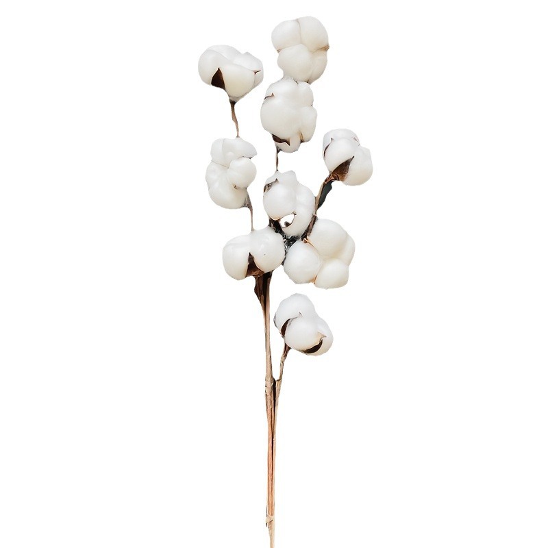 Natural dried cotton, handcrafted single-head cotton, Christmas decoration materials, and Yunnan kapok flower bouquets are selling well across borders Item Picture
