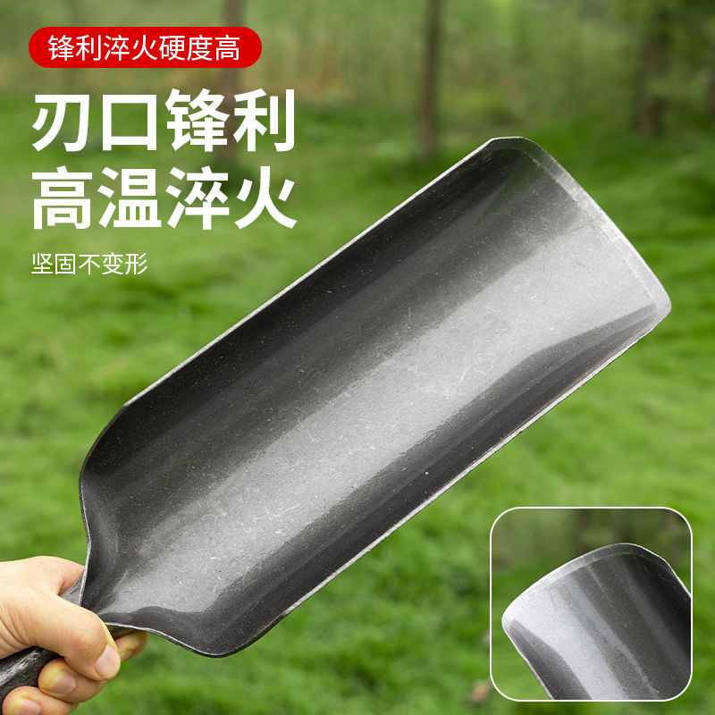 import细节图