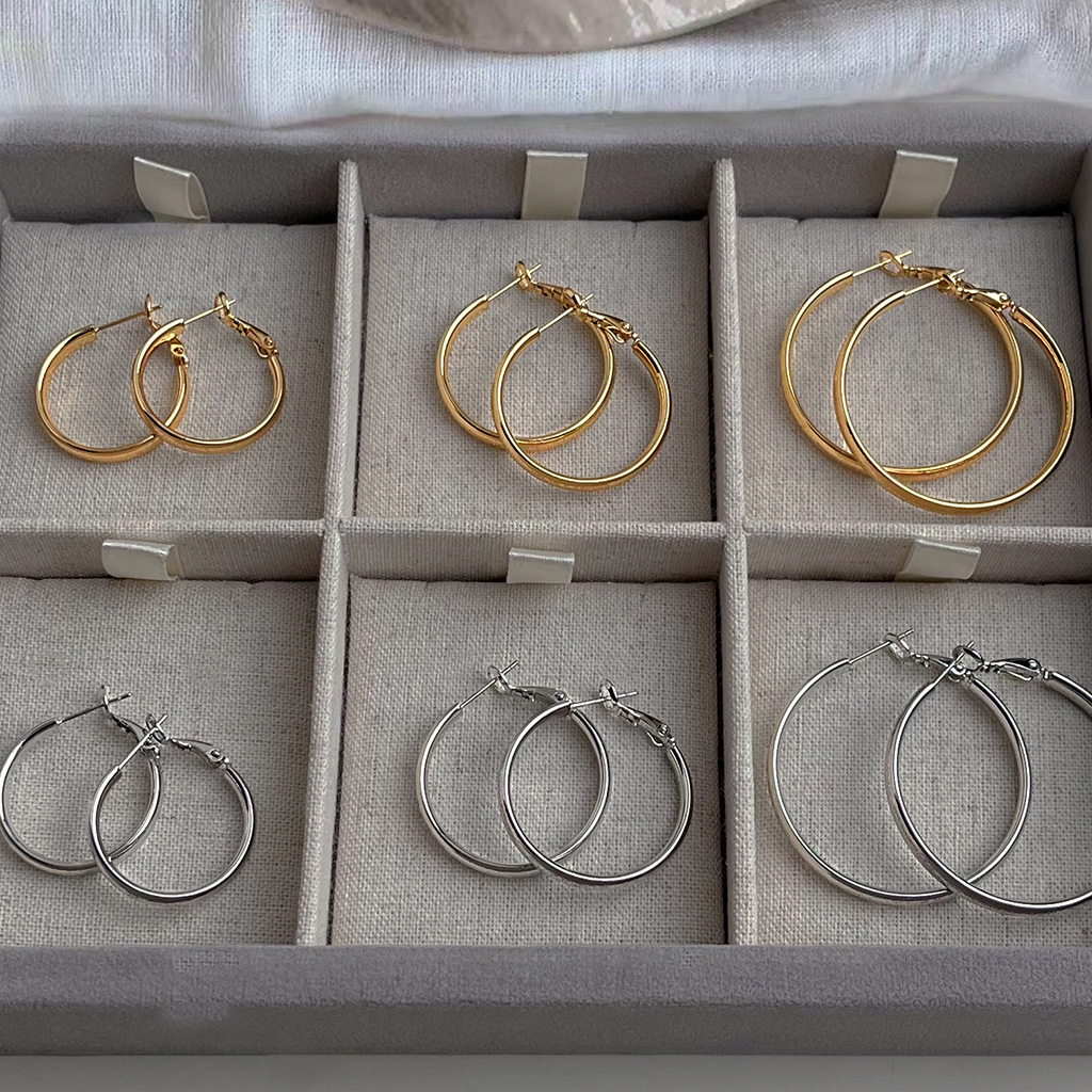 Simple front matte plain ring ear rings, women's niche design, exaggerated personality, fashionable and versatile, high-end earrings and earrings