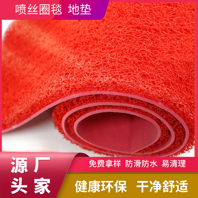 国潮PVC地毯耐磨地垫喷丝圈毯地垫家庭门店商场入户地垫logo喷丝圈毯