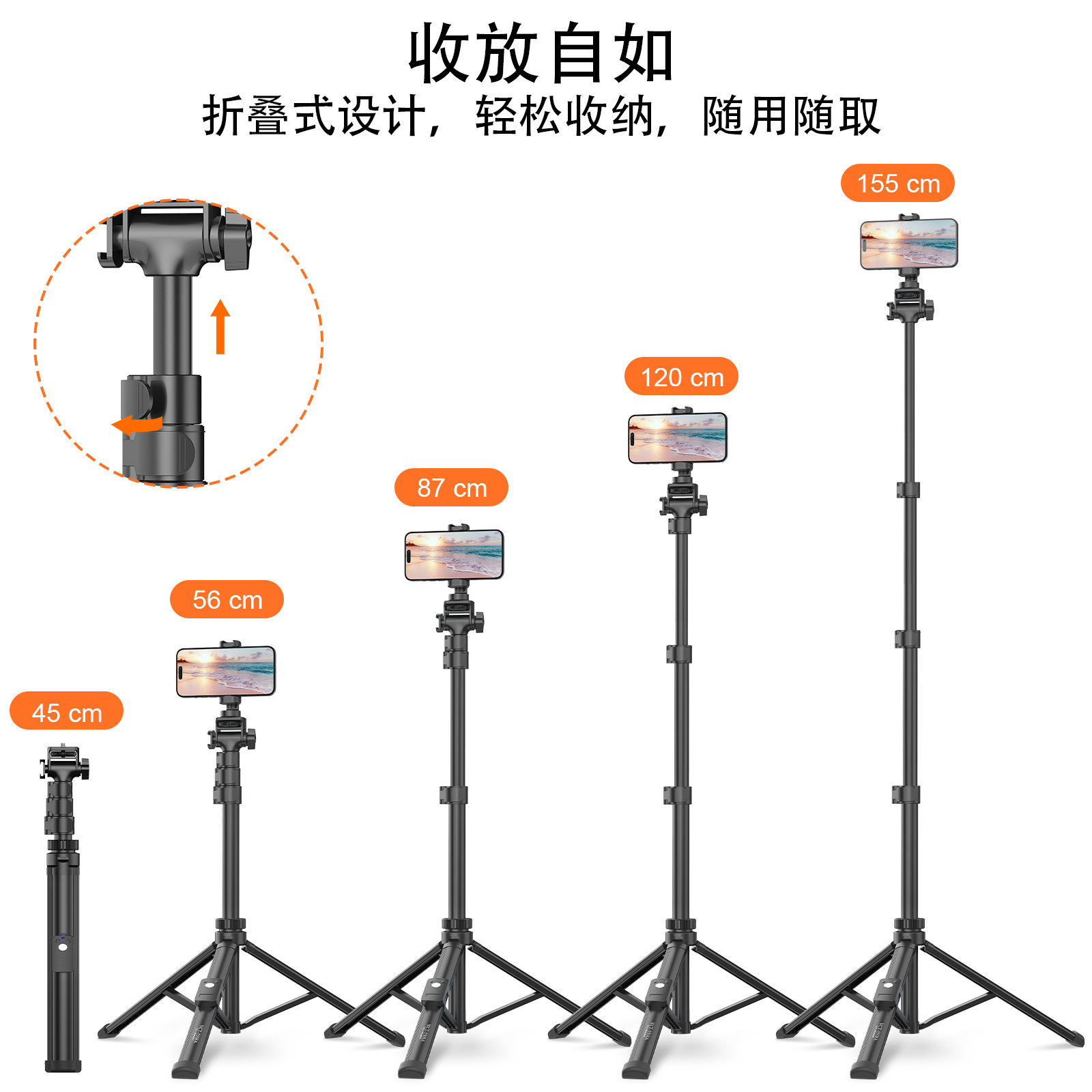 import白底实物图