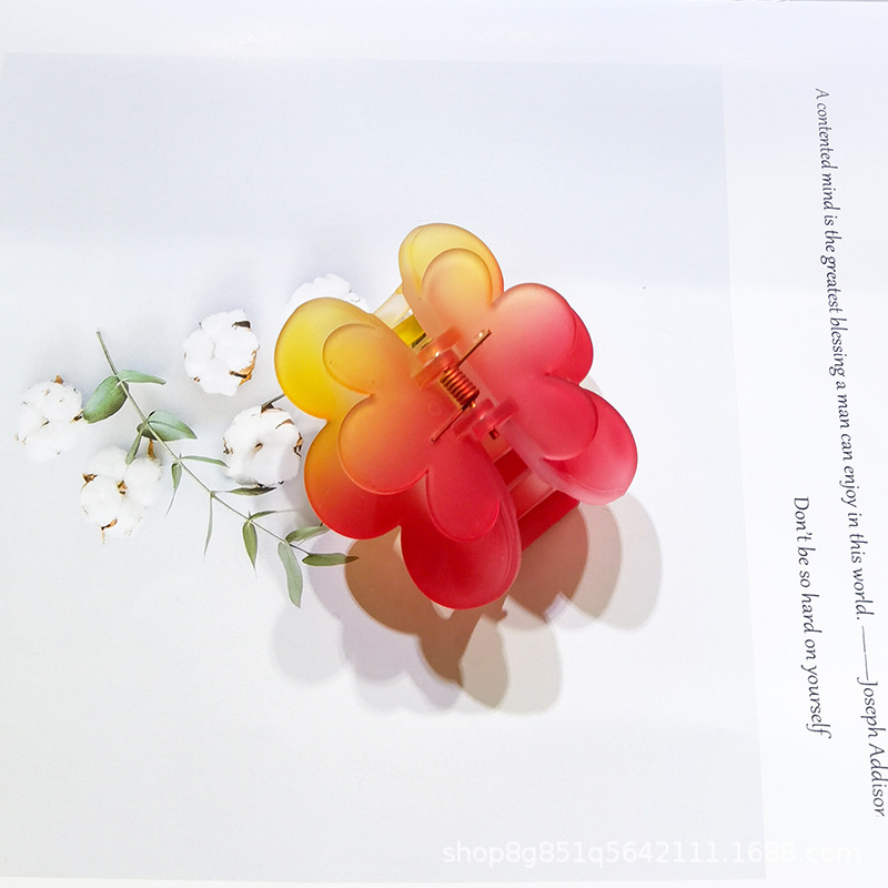 New Japanese And Korean Internet Red Ins Rainbow Gradient Color Medium Claw Clip 5Cm Top Clip Hair Card Hair Accessories Hair Accessories details Picture