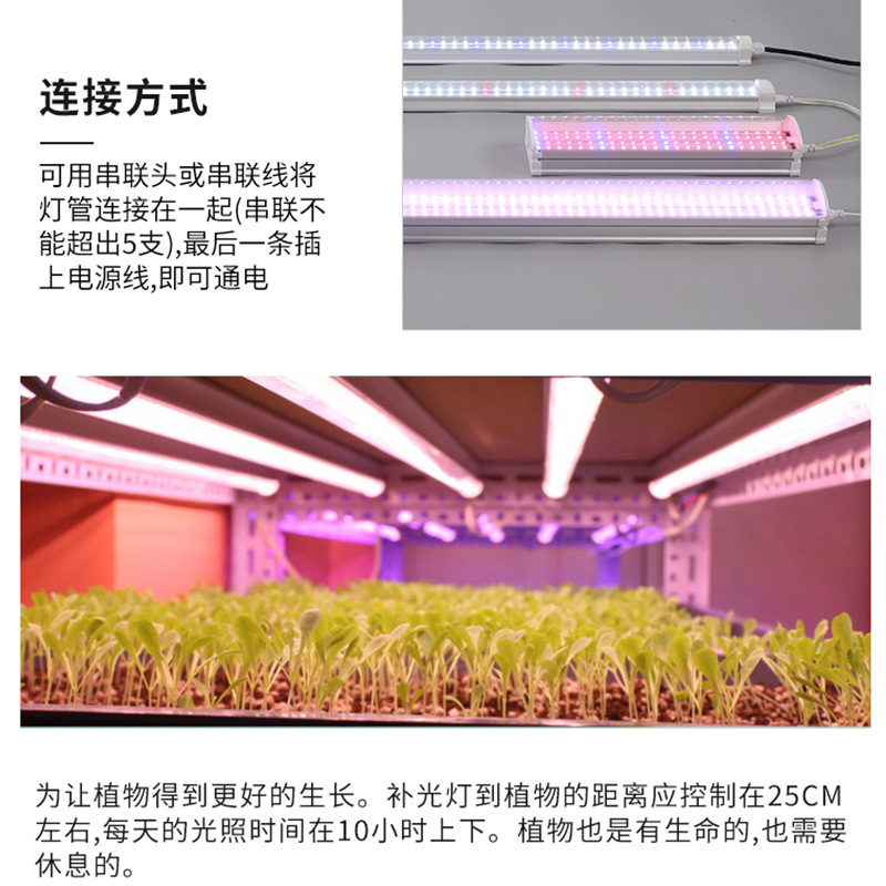 Full-spectrum cross-border flower greenhouse, household indoor succulent lamp, coloring and supplementary lighting lamp, T8LED plant lamp, growth lamp Application Scenario