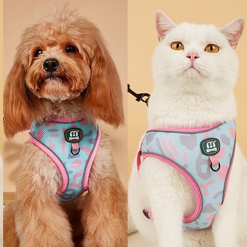 工厂现货批发夏季热卖粉色可爱猫狗宠物胸背带遛狗牵引绳两件套