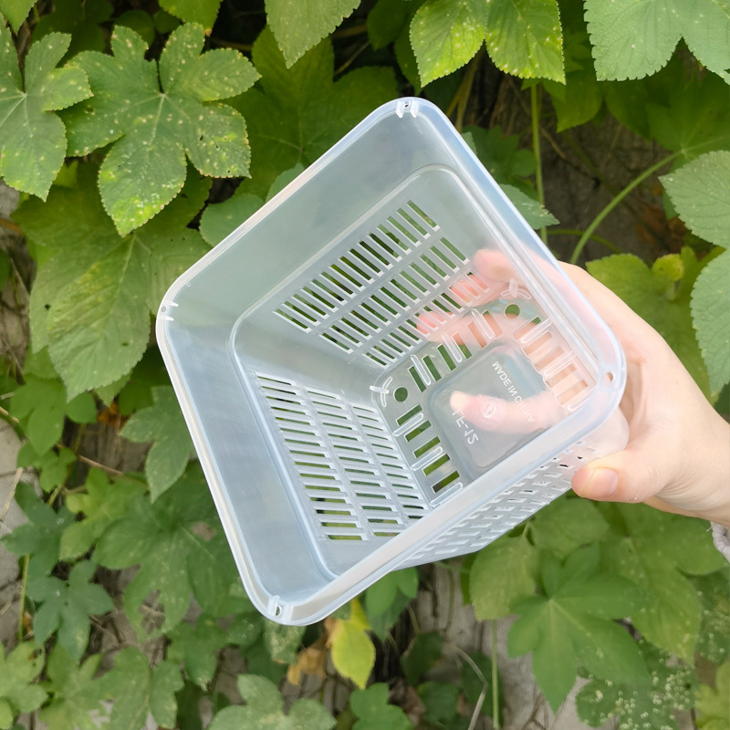 Orchid potted square pot, thickened breathable plastic flowerpot, root control pot, Phalaenopsis planting basket, orchid and pothos hydroponic basket Application Scenario