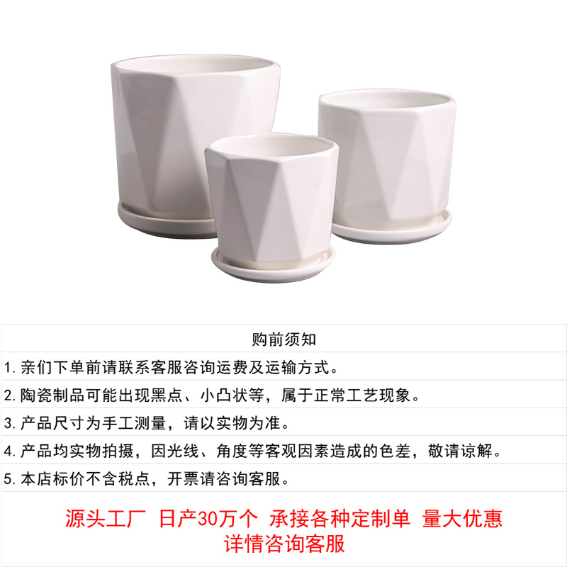花盆白色陶瓷创意个性大号家用绿萝蝴蝶兰花盆盆栽盆器外贸批发产品图