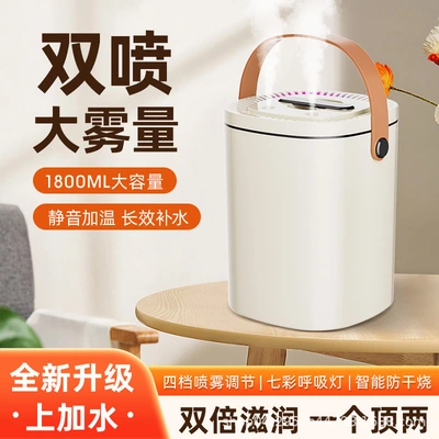 Usb Air Humidifier Home Bedroom Small Pregnant Baby Dormitory Student Office Desktop Double Head Spray