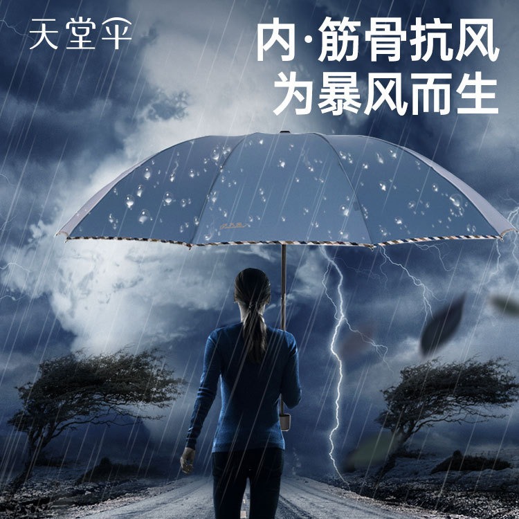 天堂雨伞正品官网批发10骨加大抗风双人晴雨伞可印刷LOGO广告伞