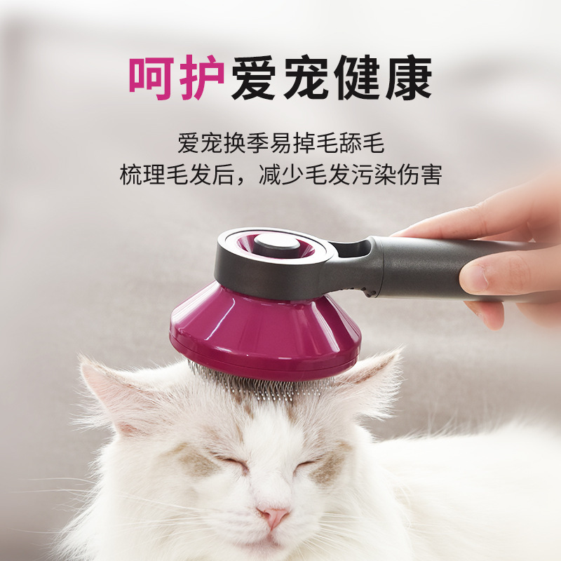 猫猫清洁美容工具实物图