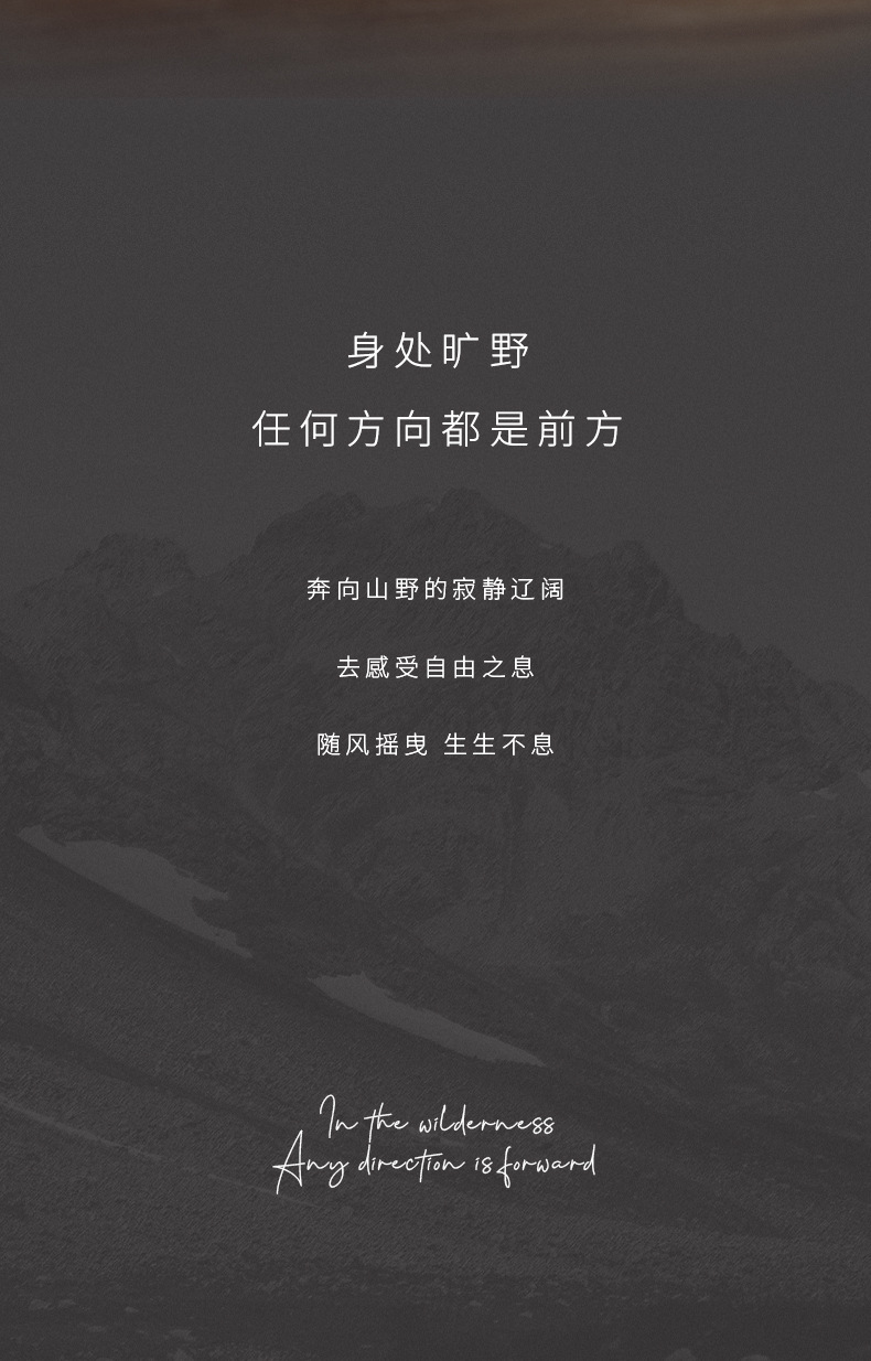 持久耐用无火香薰 扩香居家酒店香氛 高级感民宿藤条香薰伴手礼详情7