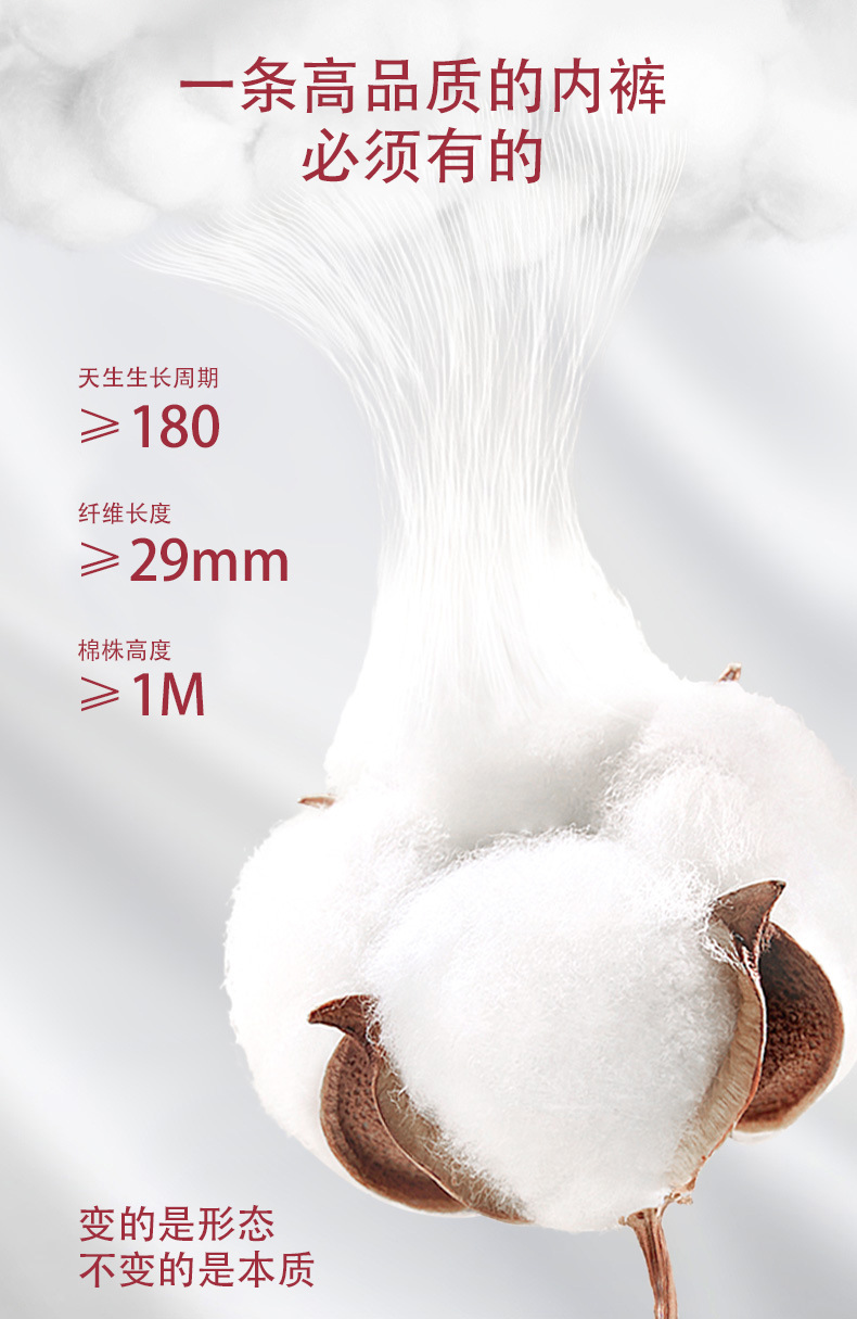 一次性内裤女无菌单独包装旅行出差日抛内裤产妇孕妇坐月子棉内裤详情5