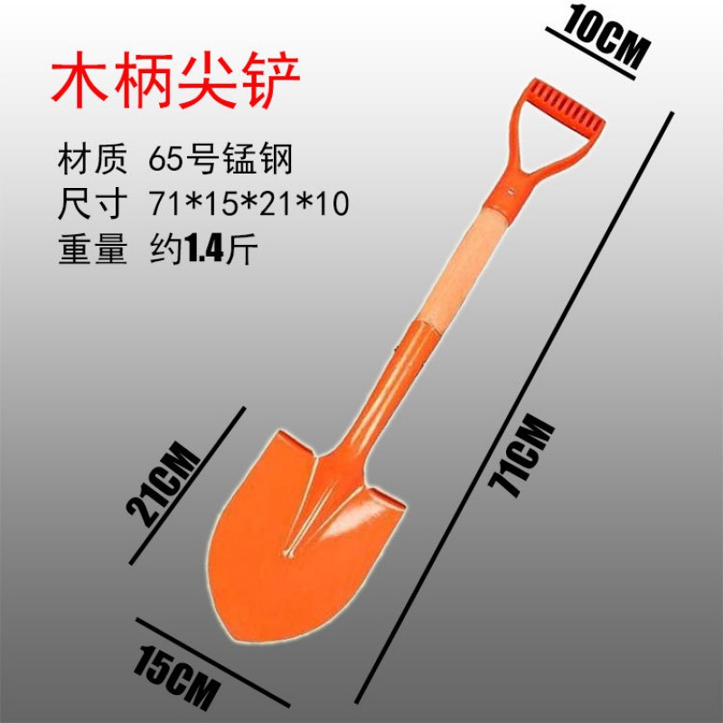 import白底实物图