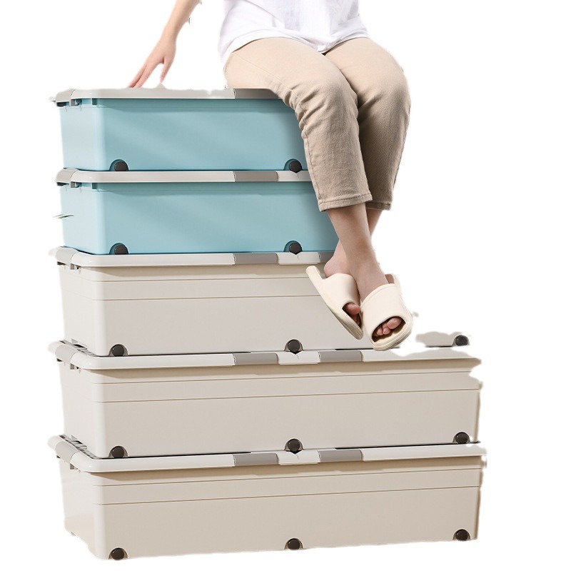 import白底实物图