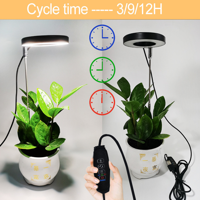 Angel Ring Plant Growth Lamp Telescopic pole full-spectrum USB timed dimming succulent bonsai plant supplementary light Application Scenario