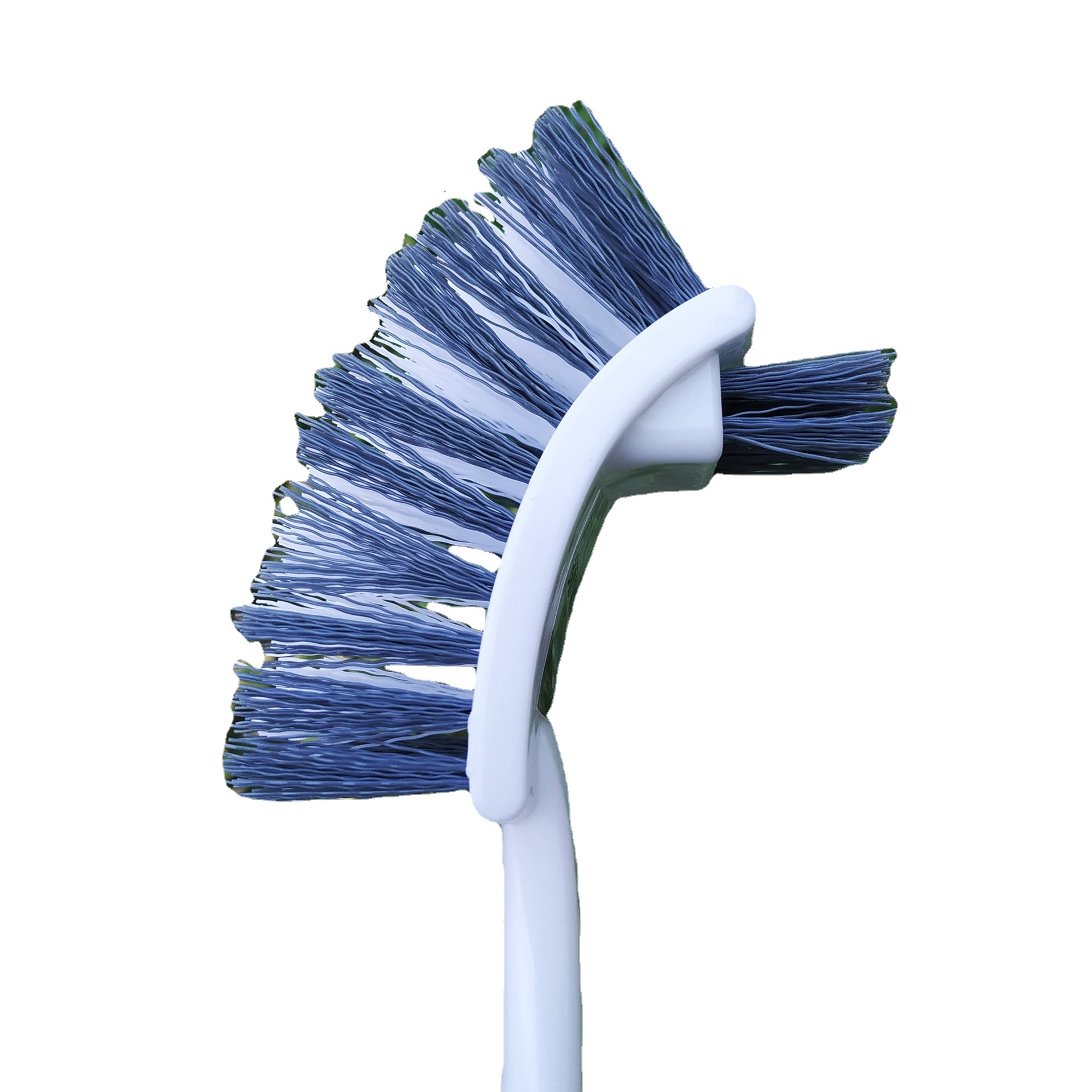 其他分类实物图