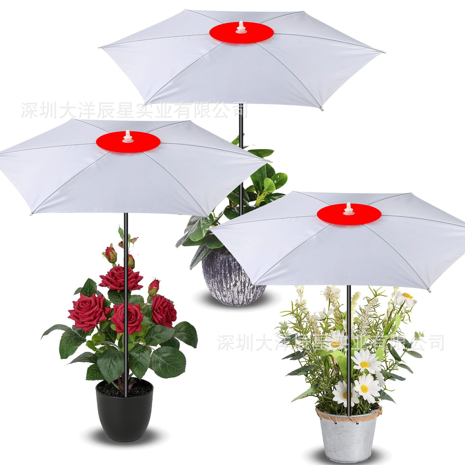 Cross-border bestsellers: Amazon plant sunshade umbrellas, flower potted plant sun protection umbrellas, heat insulation outdoor plant ground cover protective umbrellas pic 13