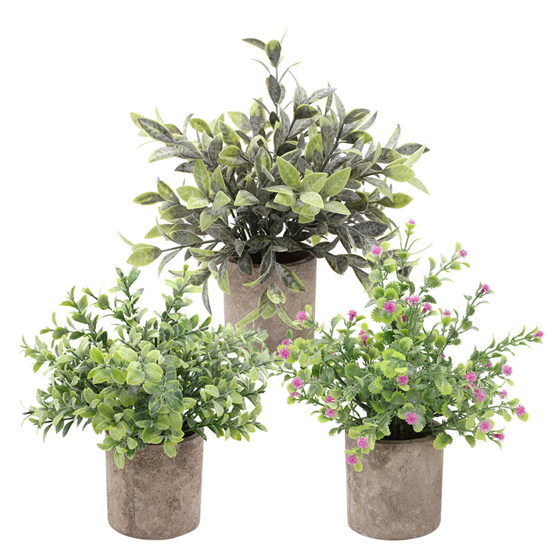 import白底实物图