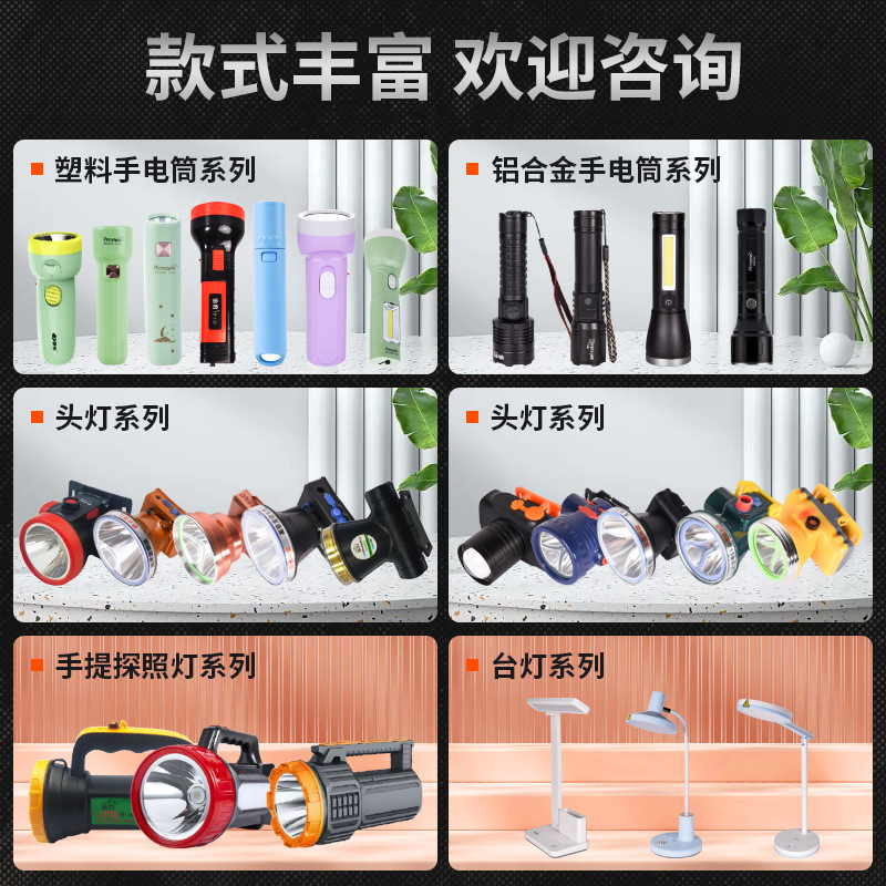 Small Flashlight Plastic Led Rechargeable Mini Flashlight Lithium Battery Can Be Charged Outdoor Household Portable Emergency details Picture