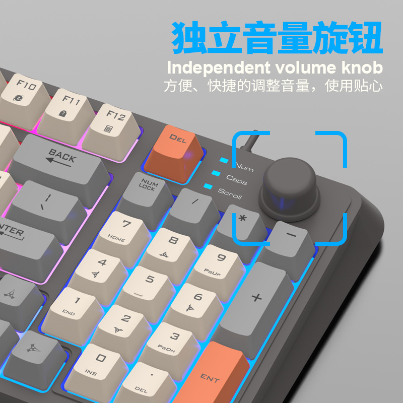 其他分类实物图