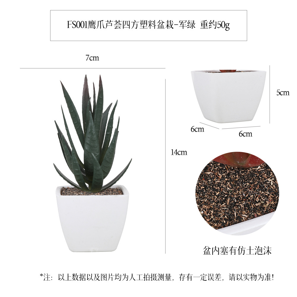 Amazon Succulent square plastic pot 6-piece home decoration plant succulent bonsai set details Picture