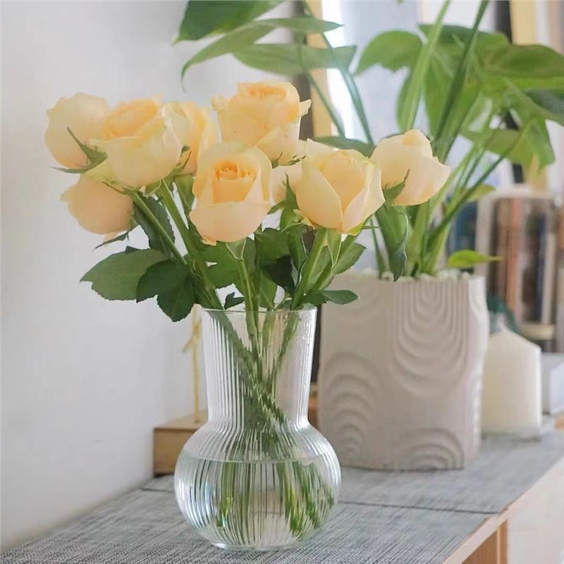 Nordic Style Transparent Vase Table Ins Feng Shui Raise Flowers Glass Vase Living Room Decoration Net Red Decoration full figure