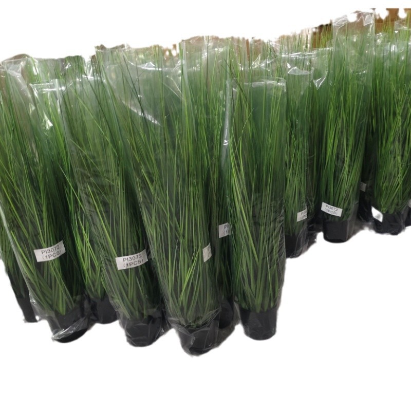 import白底实物图