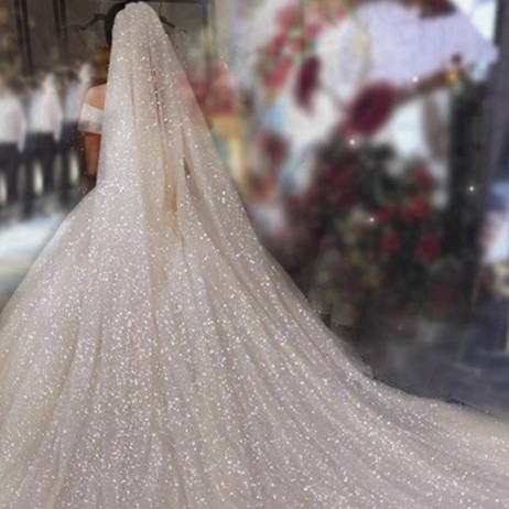 Bridal bridal dress, single-layer hair comb, various sizes of veil, dreamy printed gold starry sky veil, new foreign trade style, only love Item Picture