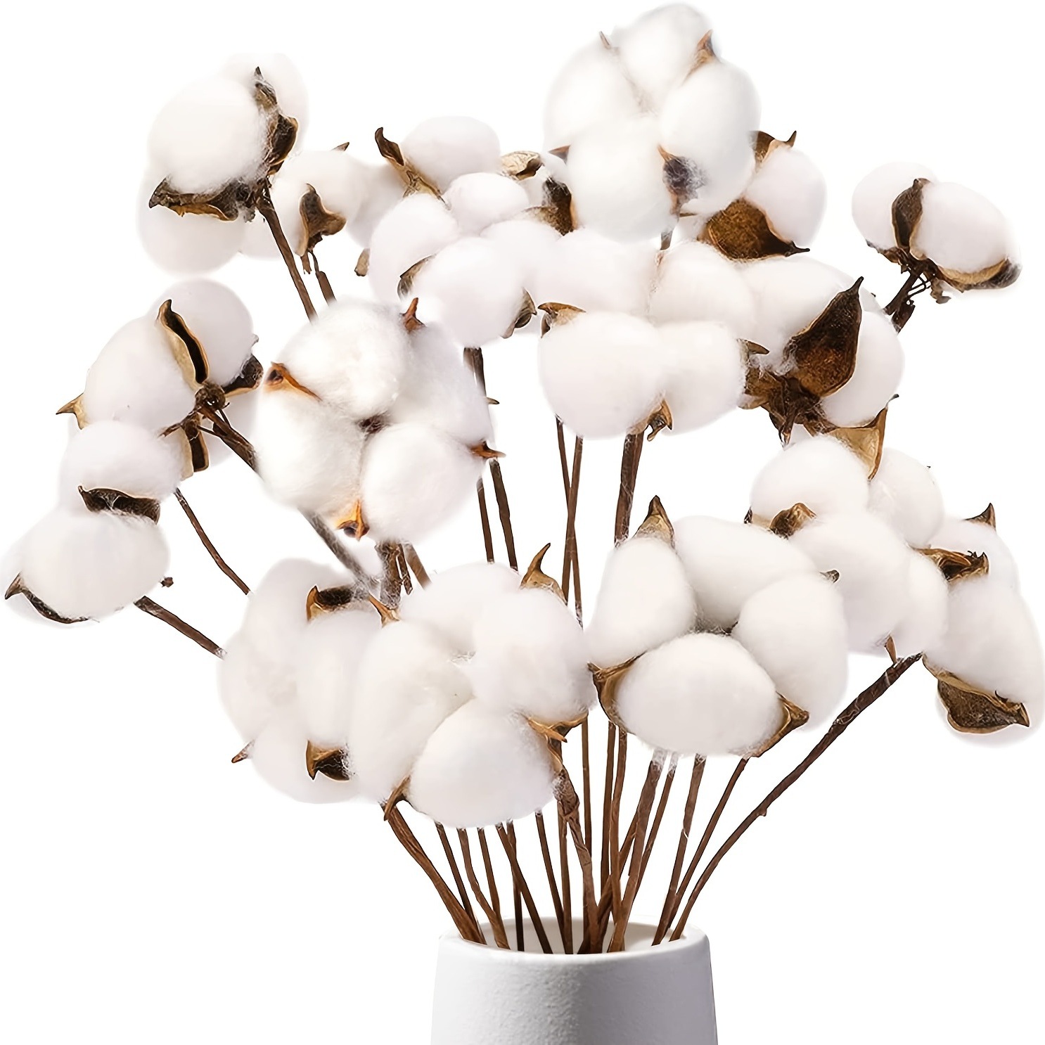 Natural dried cotton, handcrafted single-head cotton, Christmas decoration materials, and Yunnan kapok flower bouquets are selling well across borders