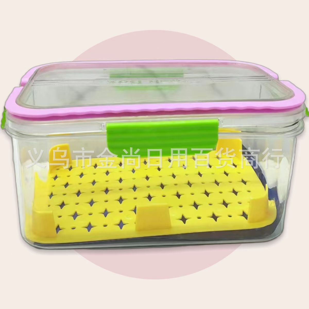 Spring outing large-capacity bento box, student transparent fruit and food sealed storage box, portable food preservation box for outdoor use details Picture