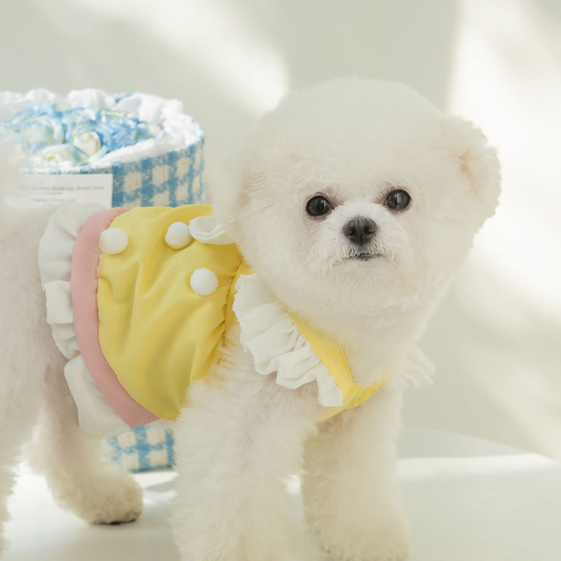 Spring and summer new puppy lace chiffon dress, Teddy Bichon Mini dog bow pet clothing Specification image