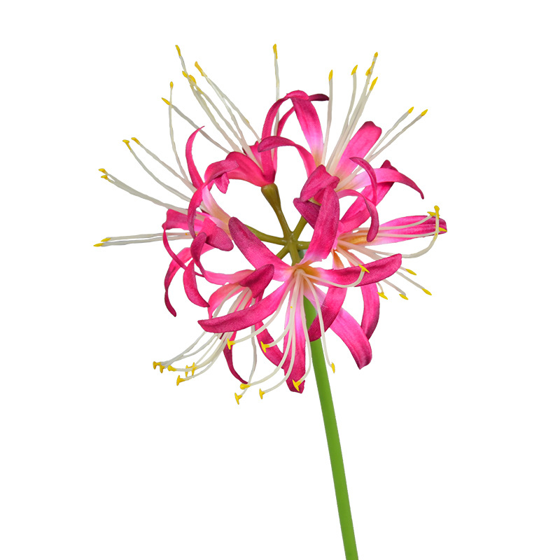 人造植物/迎客松盆栽/毛线钩织花盆摆件/仿真植物/仙人掌植物白底实物图