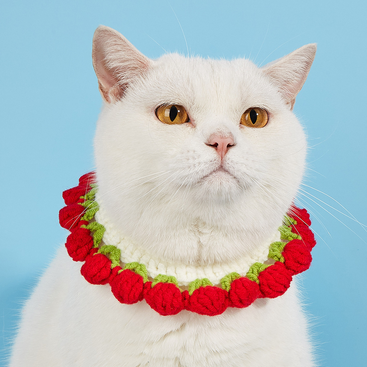 Discounted cat collars, cartoon bows, adjustable sizes, pure hand-woven cat accessories, factory direct sales details Picture