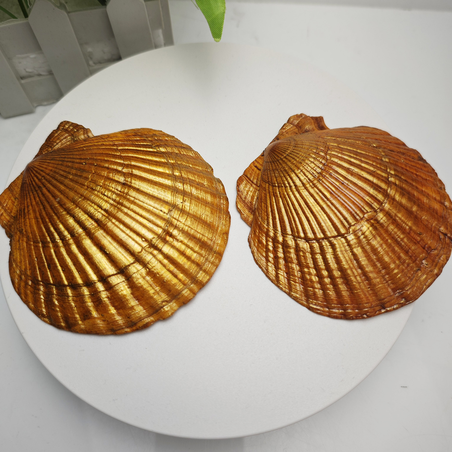 Amazon 2024 Bestseller Cross-Border New Products: Beach Art Decorations, Scallops, Shells, Handicrafts And Ornaments, Wholesale From The Manufacturer Application Scenario