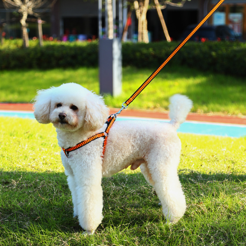宠物牵引绳/中小型犬遛狗/宠物胸背带厂产品图