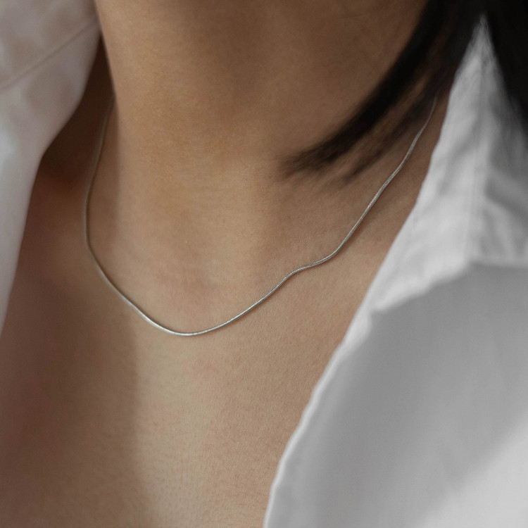 Titanio acero no se decoloran cadenas de hueso de serpiente collares nicho mujer ligera cuello de lujo premium sense cadenas de clavícula ins cool wind accesorios Specification image