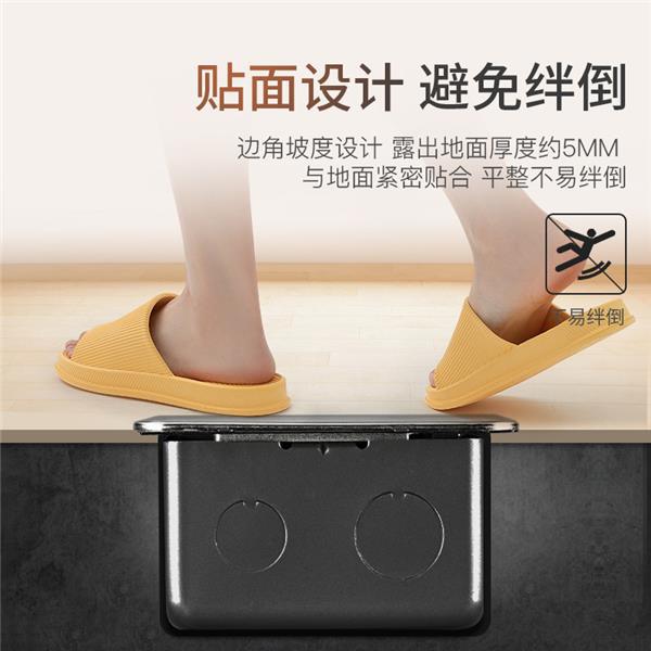 德力西掀盖式细节图