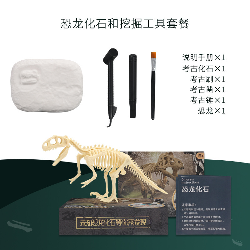 恐龙化石/考古挖掘玩具/霸王龙骨架细节图