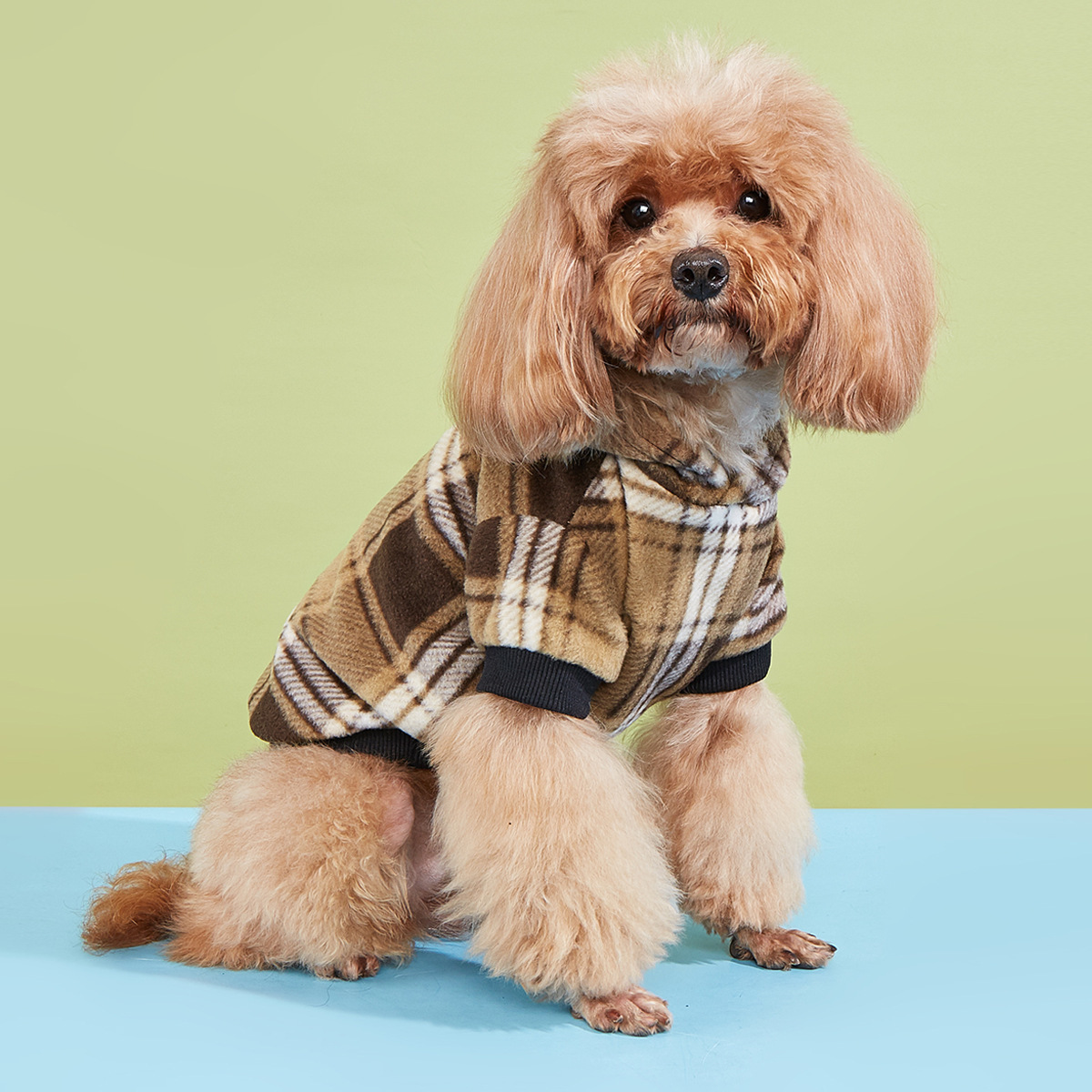 Autumn and winter universal pullover dog coat, anti-shedding and warm dog clothing, checkered hoodie and warm pet clothing Application Scenario