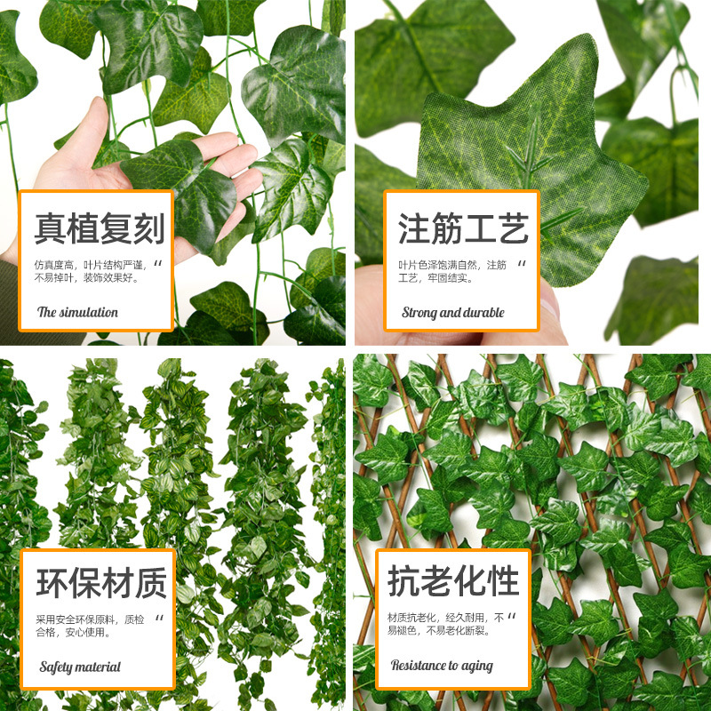 import细节图