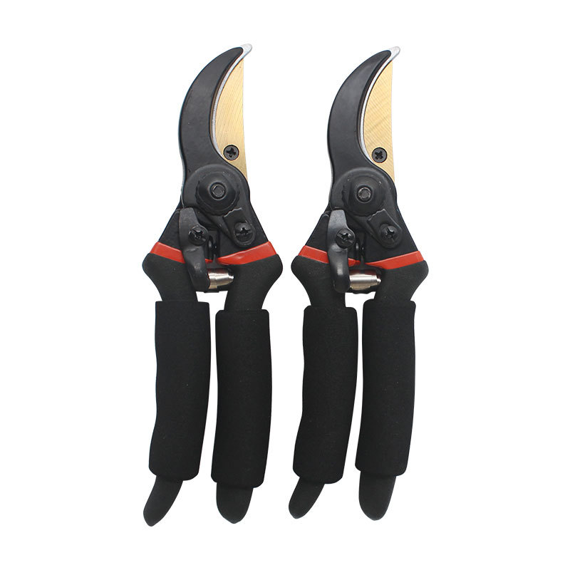 Pruning shears, garden shears, thick branch shears, garden pruning shears, fruit tree pruning, garden pruning shears, flower arrangement pruning shears Application Scenario