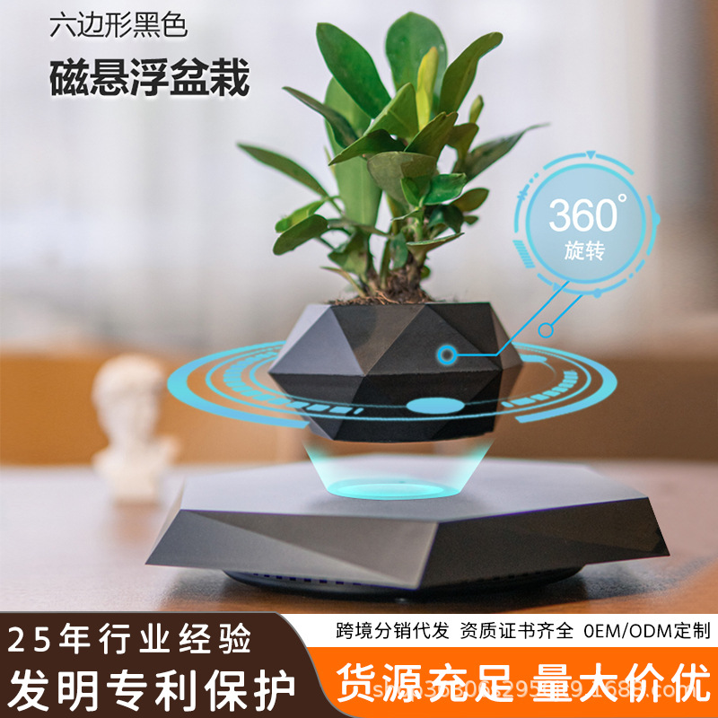 磁悬浮盆栽创意盆景工艺品礼品礼物新奇特家居摆件批发源头工厂图