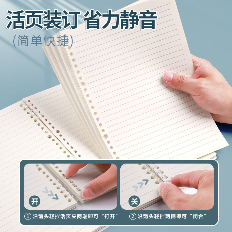 Retro butterfly British binder A5/B5 with inner core buckle design, single thickened OPP bag packaging pic 4