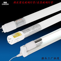 led microwave radar sensor 5.8G anti-interference 1.2m emergency lamp CK lamp stand daylight glass lamp