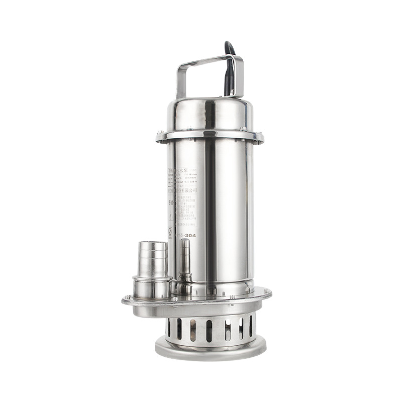 304 Stainless Steel Submersible Water Pump Sewage Pump Small Agricultural Resistant Household 220V High Head Seawater Pump Item Picture